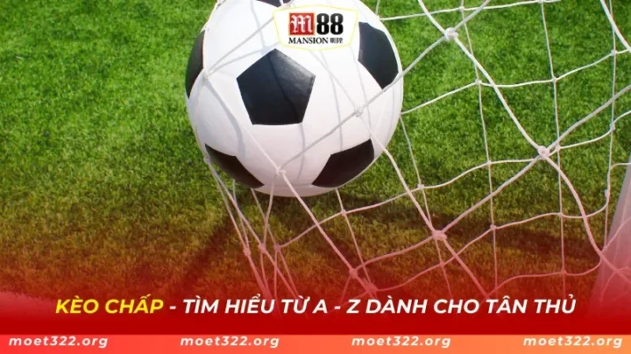 Kèo Chấp - Tìm hiểu từ A - Z Dành Cho Tân Thủ 1 Kèo Chấp - Tìm hiểu từ A - Z Dành Cho Tân Thủ